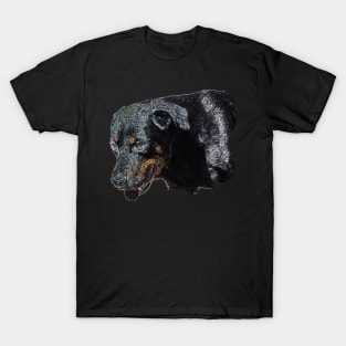 rottweiler T-Shirt